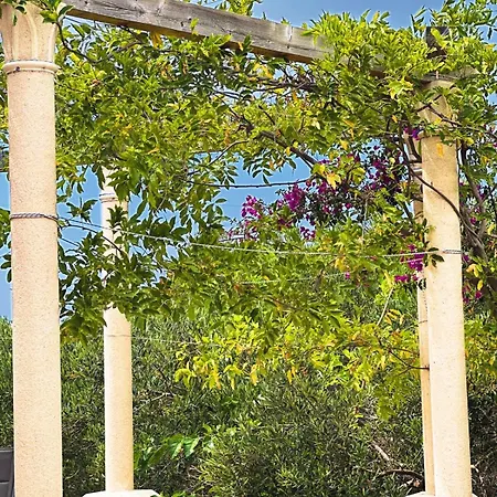 Island House Marta *